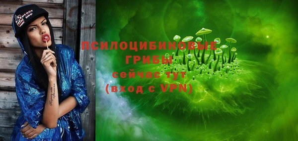 тгк Аркадак