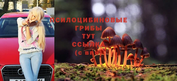 тгк Аркадак
